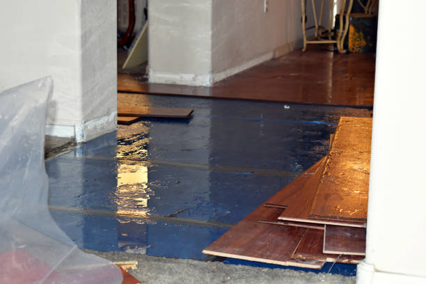 Professional Water Damage Restoration technician working in White City, UT